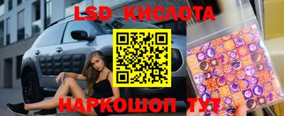 МДПВ Новозыбков