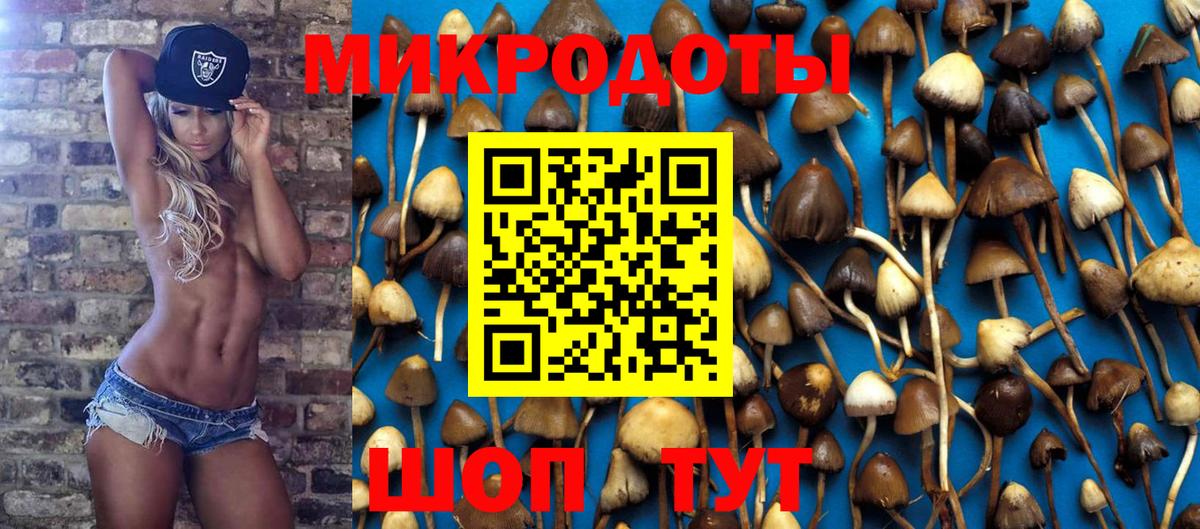 Псилоцибиновые грибы Magic Shrooms Свободный