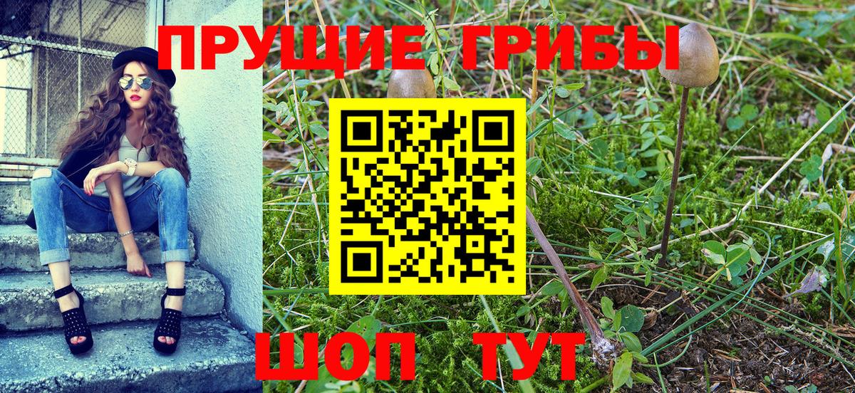 Галлюциногенные грибы MAGIC MUSHROOMS  Вход с VPN  купить закладку  Галлюциногенные грибы прущие грибы  Свободный 